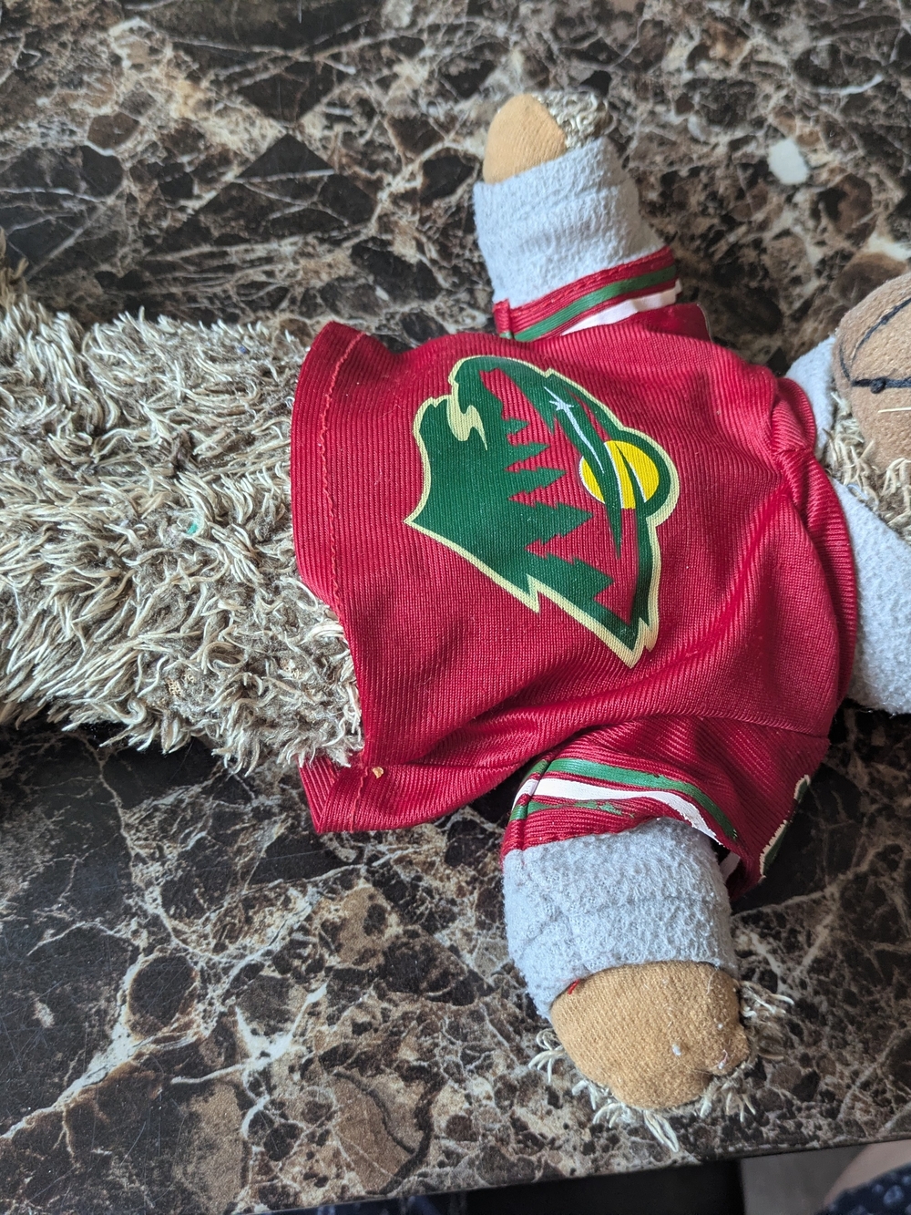 Go Wild! Minnesota Wild Plush Bear